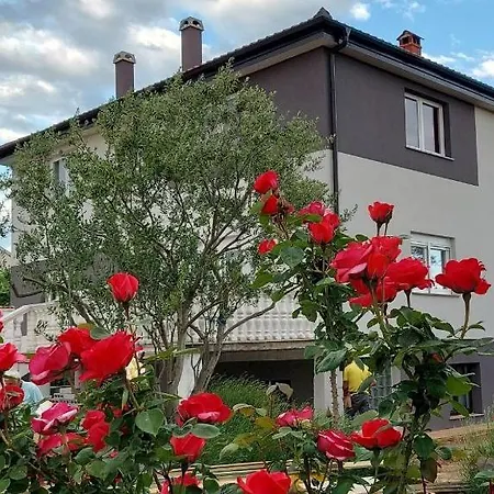 Krunes Biograd Na Moru