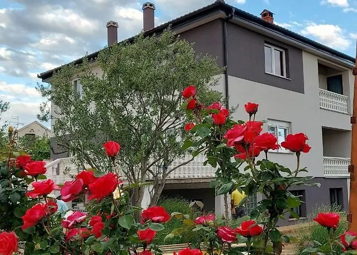 Krunes Biograd Na Moru